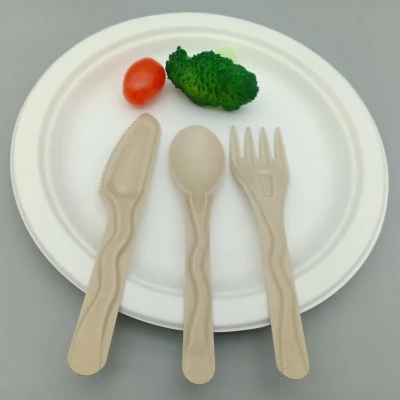 Bagasse tableware